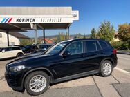 BMW X3 30e G01 "ADV."/LC"PROF"/PANO/AHK/CAM - Willmering