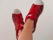 Getragene Schuhe Fetisch Sneaker Fuß Adidas - Stuttgart