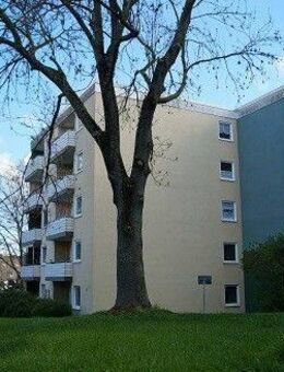 Nur für Senioren mit WBS ab 60 Jahren! Bequem in jedem Alter zu erreichen, Fahrstuhl vorhanden! - Bochum
