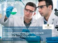 Wissenschaftliche/r Mitarbeiter/in (m/w/d) Koordinierung Öffentlicher Gesundheitsdienst (ÖGD) in Teilzeit - Magdeburg