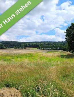 Mit Grundstück, ein Zuhause das überzeugt in Altenhagen. - Springe