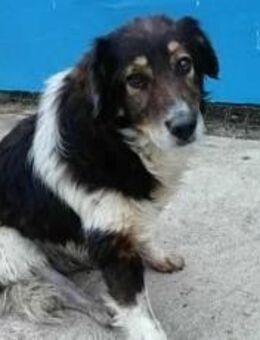 Diesel sucht Ort zum genesen! - München