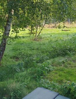 Wald und Wiese zu verkaufen rd. 1600 qm - Neukirchen-Vluyn