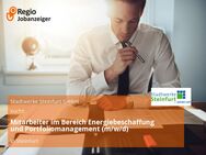Mitarbeiter im Bereich Energiebeschaffung und Portfoliomanagement (m/w/d) - Steinfurt