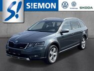 Skoda Octavia, Combi Scout TDI, Jahr 2020 - Ibbenbüren