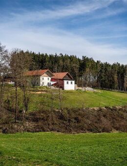 Einfamilienhaus mit Stallung in Alleinlage - Windorf