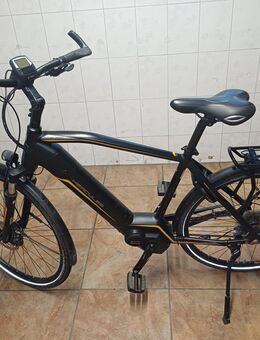 E Bike Herrn Hercules Futura Sport - Frechen