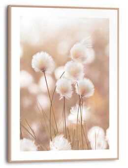 Reinders! Bild mit Rahmen Cotton Pops