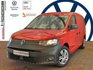 VW Caddy, 2.0 TDI Maxi Kasten HOLZB, Jahr 2021 - Ganderkesee