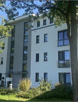 Exklusives Penthouse am Wildpark ! - Bad Sassendorf