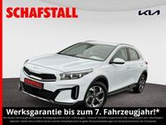 Kia - Bergheim (Nordrhein-Westfalen)