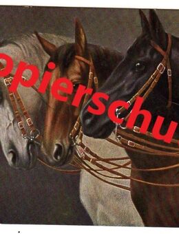 Historische Ansichtskarte / Künstlerkarte „Dreigespann“, gelaufen 1917 - Landsberg