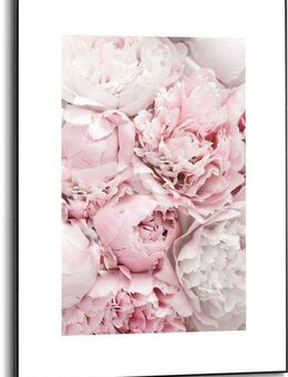 Reinders! Bild Gerahmtes Bild Pfingstrosen Blumen - Romantisch, Blumen (1 St)