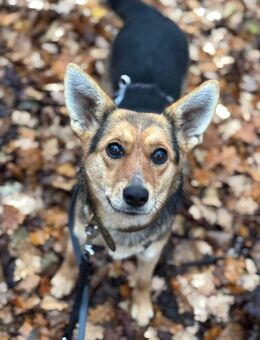 Ria wartet auf PS in Gummersbach! - Rosengarten (Niedersachsen)