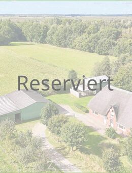 Weite Felder, absolute Ruhe - Ihr Reetdachrefugium in Ramstedt - Ramstedt