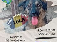 ZOLA - junge Lady möchte sich entfalten - Waakirchen