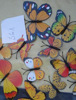 12 Schmetterlinge bunt - Friedrichsdorf