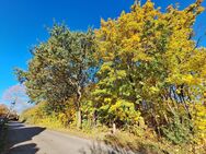 Noch eine freie Bauparzelle am Ortsrand von Pfaffendorf! - Rietz-Neuendorf