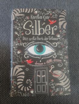 Silber Trilogie von Kerstin Gier|Hardcover - Falkenstein (Vogtland)
