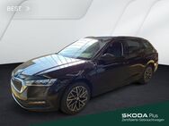 Skoda Octavia, 1.5 Combi e-TEC AMBITION 17ZOLL, Jahr 2024 - Mühlheim (Main)