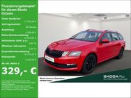 Skoda Octavia, Combi Ambition, Jahr 2019 - Düsseldorf