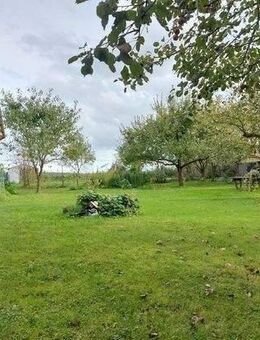 Neubau, Reihenendhaus in ruhiger Lage in Borchen-Dörenhagen ! - Borchen