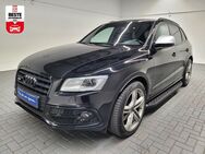 Audi SQ5, competition quattro 20-Zol, Jahr 2017 - Sülzetal