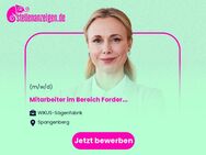 Mitarbeiter (m/w/d) im Bereich Forderungsmanagement - Spangenberg