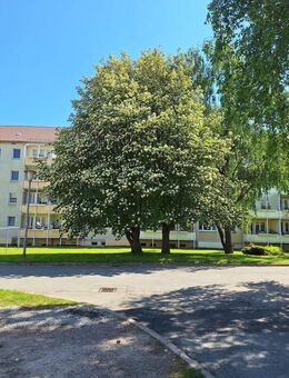 2 Raum Wohnung vor den Toren Erfurts und Weimar - Berlstedt