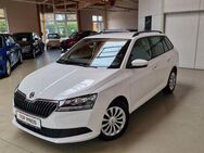 Skoda Fabia Kombi 1,0 TSI 95PS Active Plus SHZ LED-Tag - Ichenhausen