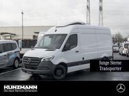 Mercedes Sprinter, 317 Kerstner Kühlkasten MBUX Distro, Jahr 2023 - Fulda