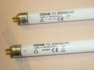 2 x Osram FQ 80W/830 HO High Output LUMILUX Warm White - Sarstedt