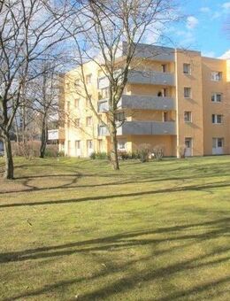 RE/MAX - 4-Zi-Whg mit Balkon im Grünen! - München