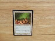 Magic The Gathering-Alarum - Nörvenich