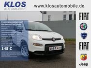 Fiat Panda, 1.0 HYBRID GSE 70PS KOMFORT, Jahr 2024 - Dreieich