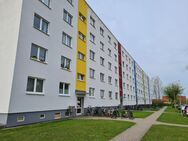 4-Raumwohnung mit Einbauküche, auch WG-geeignet - Greifswald