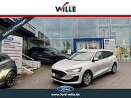 Ford Focus, Titanium Automatik Easy-Parking EcoBlue, Jahr 2023 - Dülmen