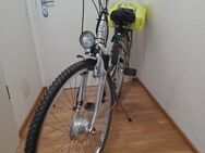 Schöne Fahrräder mit Pedelec-Antrieb (e-bike) - Gochsheim