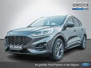 Ford Kuga 2.5 Plug-In Hybrid ST-Line HUD LED PANO - Halle (Saale)