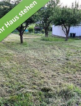 Mit Grundstück, Familienleben auf einer Ebene in Hörsum. - Alfeld (Leine)