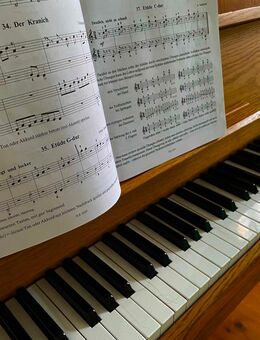 Nette Musikschule sucht Verstärkung - Wolfsburg
