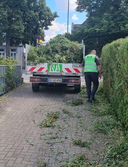 Gartenarbeiten, Heckenschnitt, Laubentfernung und Baumbeschnitt, Baumfällung - Ahrensburg