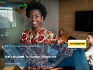 Werkstudent/in Human Resources - Giebelstadt