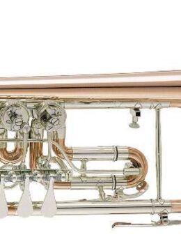 V.F. Cerveny CTR 701 R Konzert - Trompete aus Goldmessing mit Neusilberkranz, Neuware - Hagenburg
