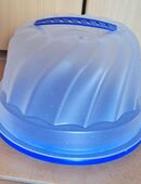 rotho - Guglhupftransportbox in 36100