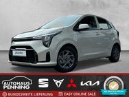 Kia Picanto, 1.0 PE2 MT VISION, Jahr 2024 - Zetel