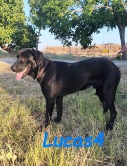 Lukas4 das Leben ist schön 10/24 ESP - Ruppertsecken