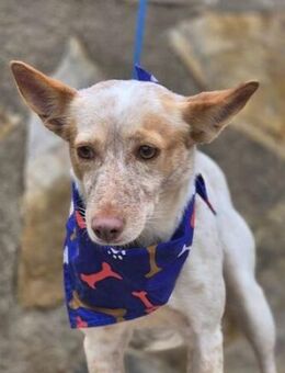 Libia leidet still - Berlin