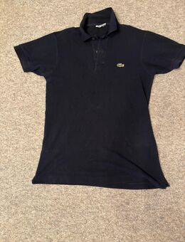 Lacoste Polo - Essingen (Baden-Württemberg)