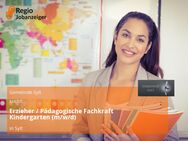 Erzieher / Pädagogische Fachkraft Kindergarten (m/w/d) - Sylt